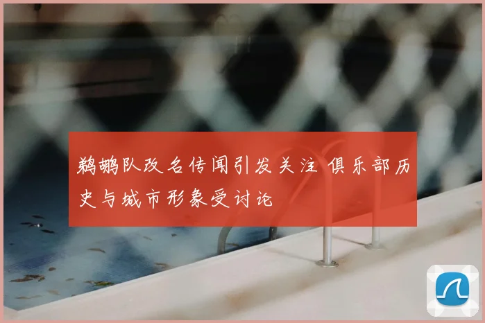 鹈鹕队改名传闻引发关注 俱乐部历史与城市形象受讨论