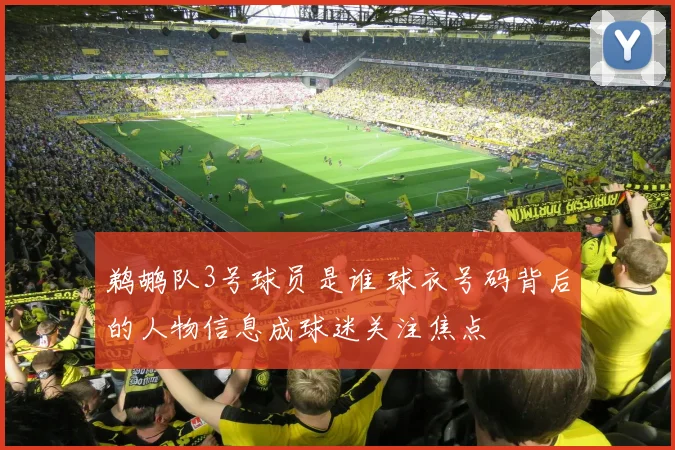 鹈鹕队3号球员是谁 球衣号码背后的人物信息成球迷关注焦点