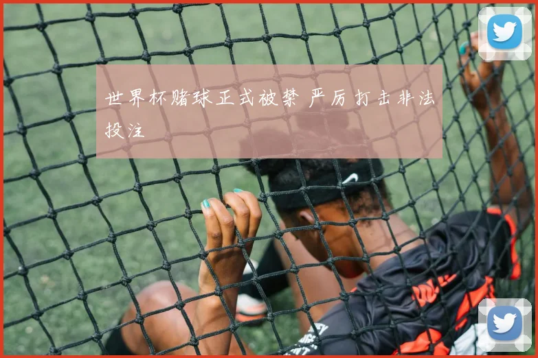 世界杯赌球正式被禁 严厉打击非法投注