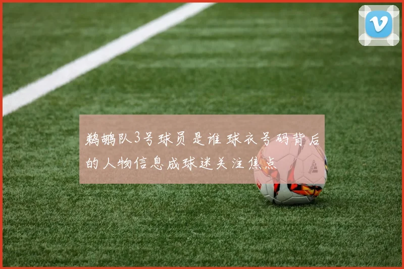 鹈鹕队3号球员是谁 球衣号码背后的人物信息成球迷关注焦点